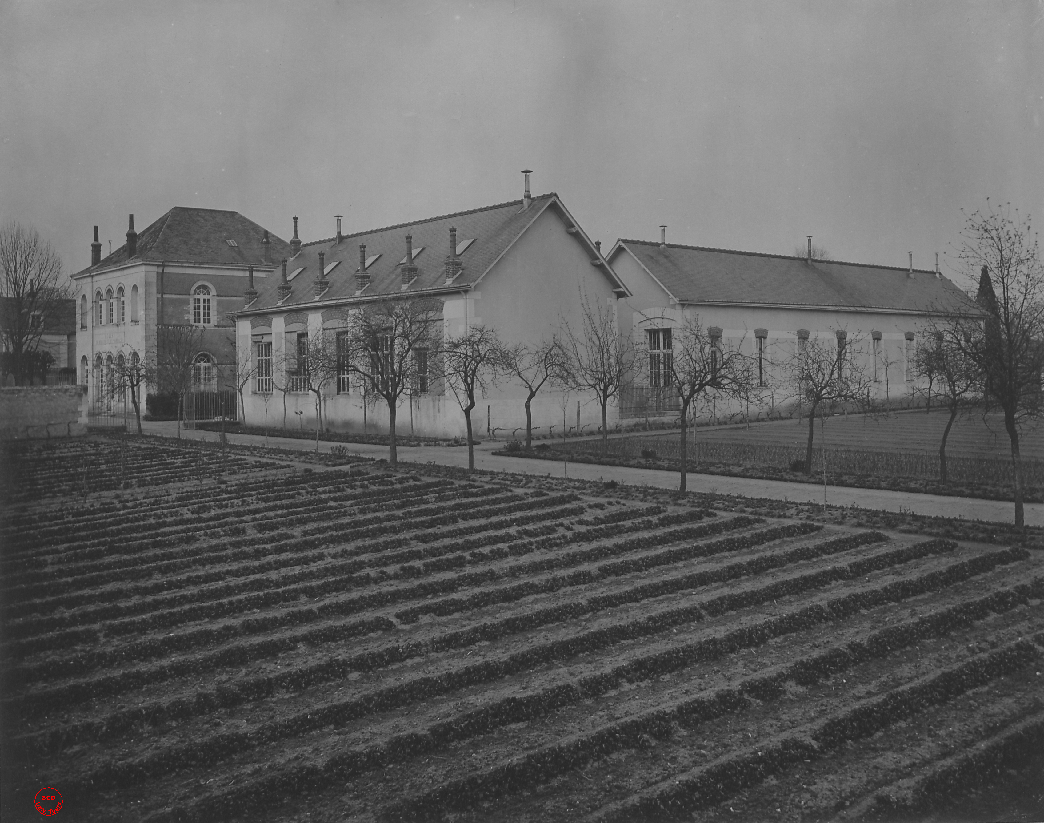 École de médecine et de pharmacie de Tours, vue d'ensemble de l'école