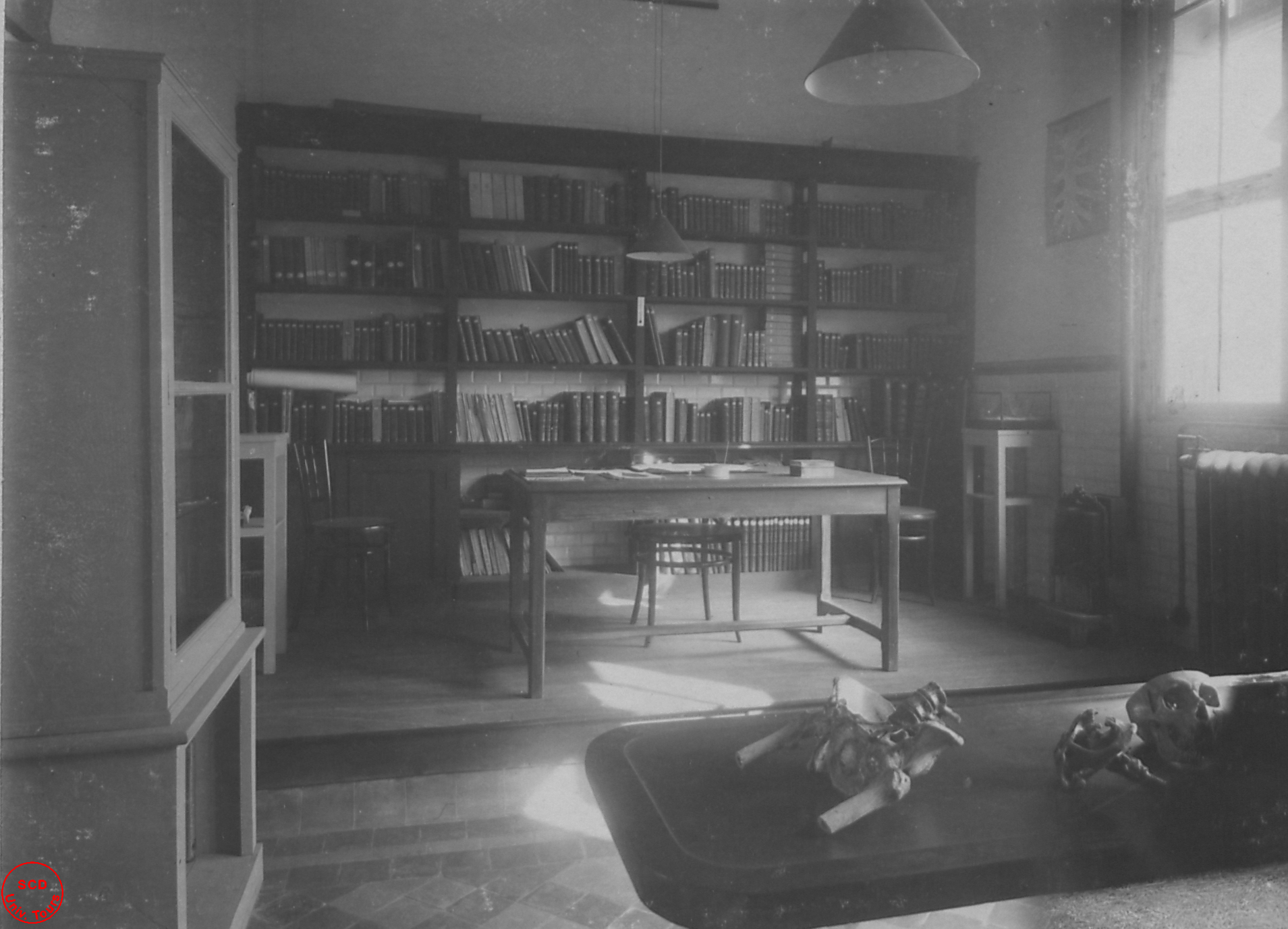 Cabinet du professeur d'anatomie