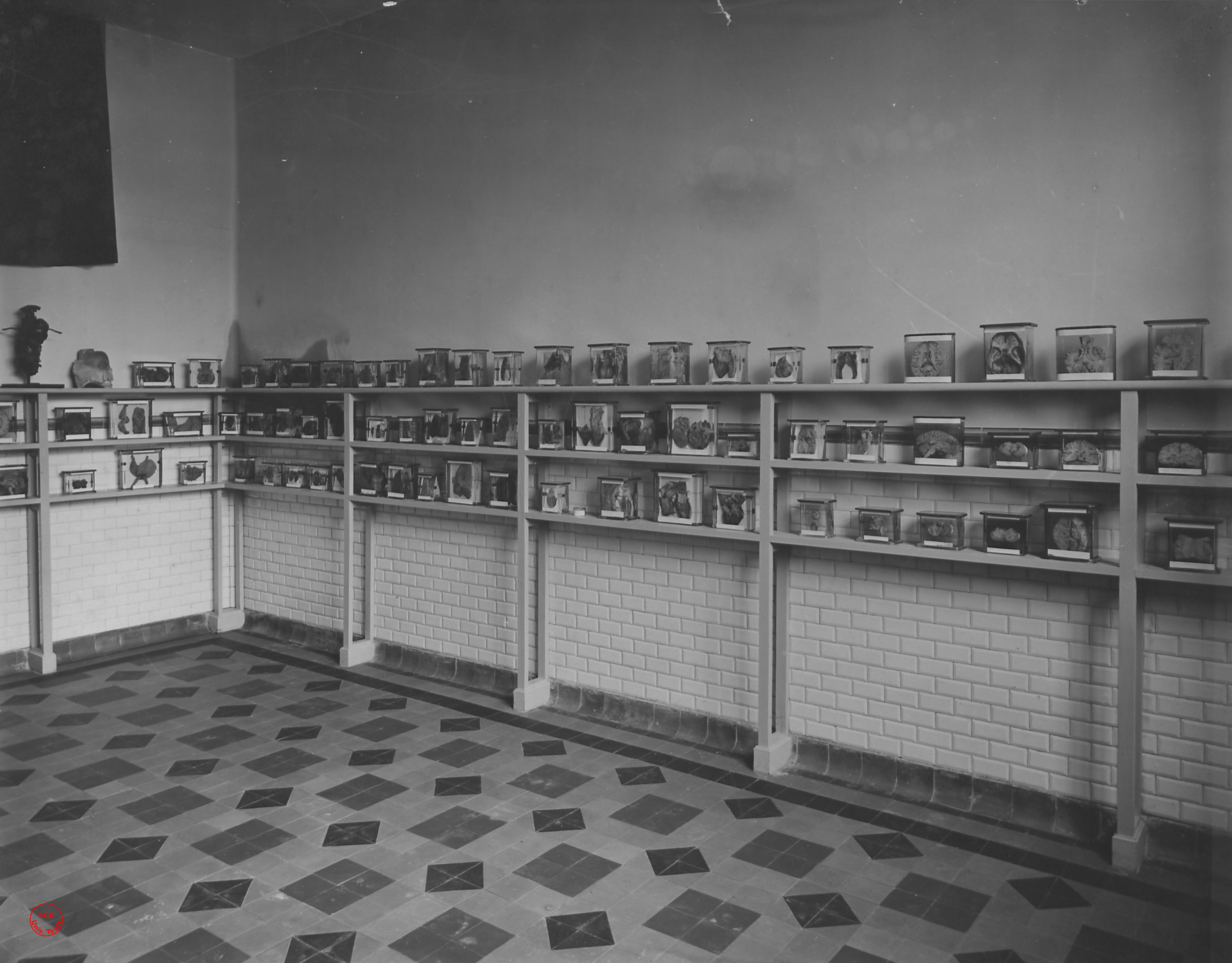École de médecine et de pharmacie de Tours, musée de l'école