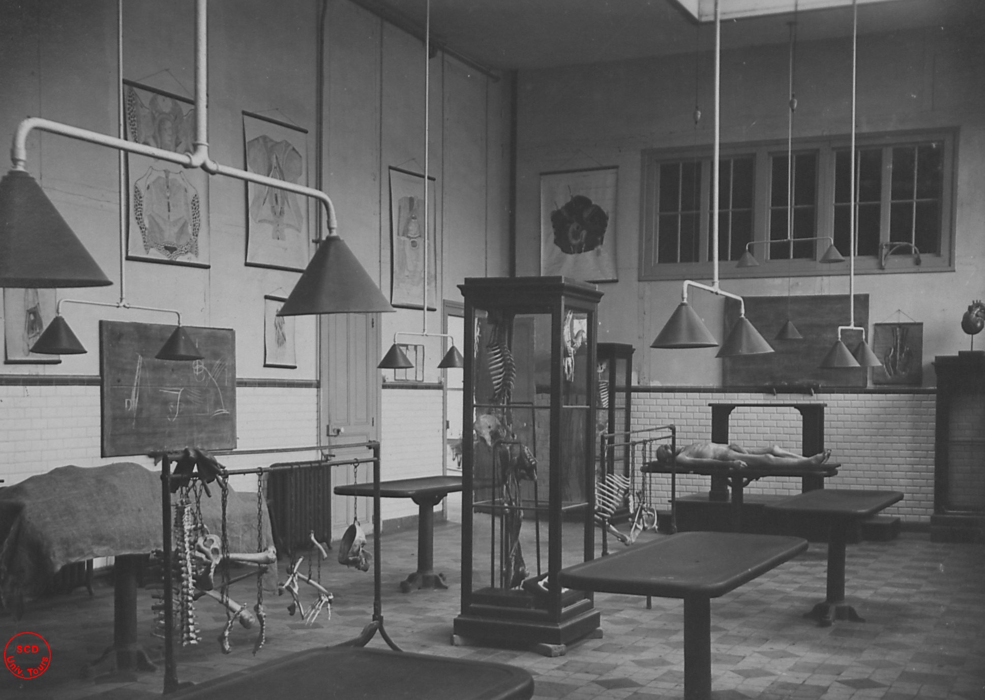 Salle de dissection